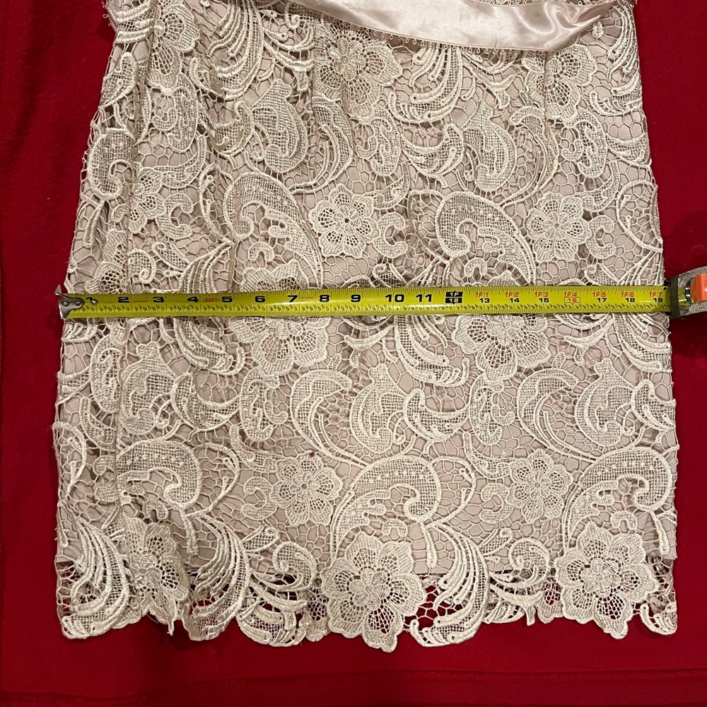 Adrianna Papell Evening Gown in Cream - Picture 6 of 7